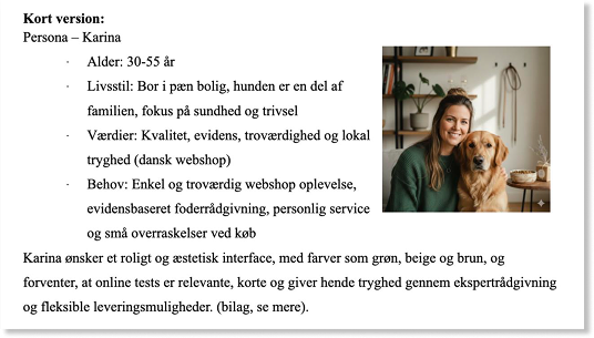 Persona og målgruppeanalyse